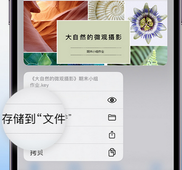 三门apple维修中心分享iPhone文件应用中存储和找到下载文件