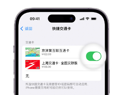 三门apple维修点分享iPhone上更换Apple Pay快捷交通卡手绘卡面 