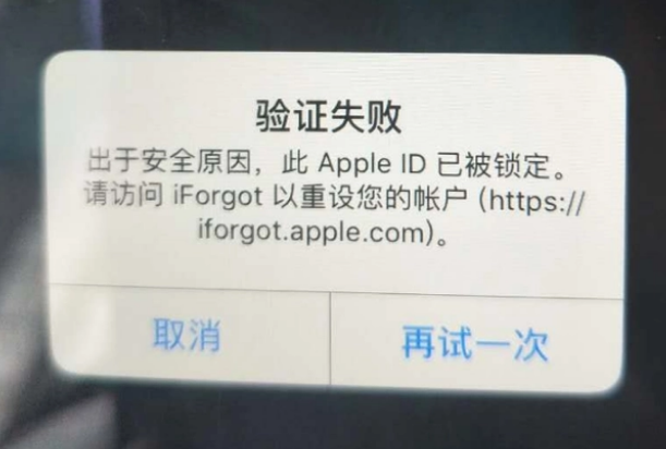 三门iPhone维修分享iPhone上正常登录或使用AppleID怎么办 