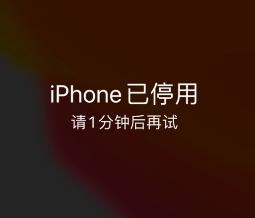 三门苹果手机维修分享:iPhone 显示“不可用”或“已停用”怎么办？还能保留数据吗？ 