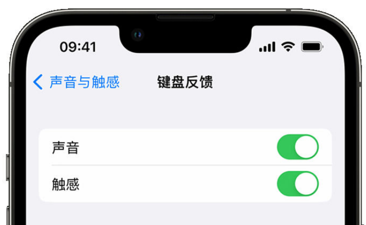 三门苹果手机维修分享iPhone 14触感键盘使用方法 