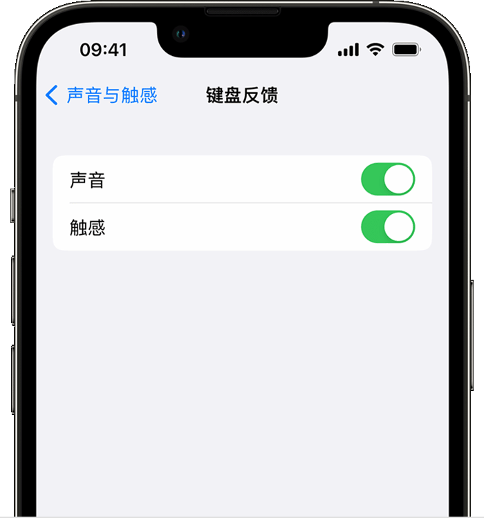 三门苹果14维修店分享如何在 iPhone 14 机型中使用触感键盘 