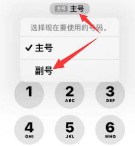 三门苹果14维修店分享iPhone 14 Pro Max使用副卡打电话的方法 