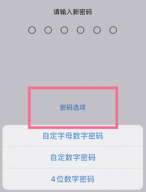 三门苹果14维修分享iPhone 14plus设置密码的方法 