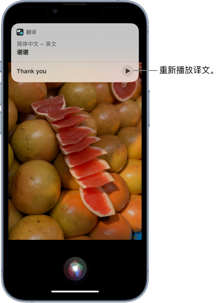 三门苹果14维修分享 iPhone 14 机型中使用 Siri：了解 Siri 能帮你做什么 