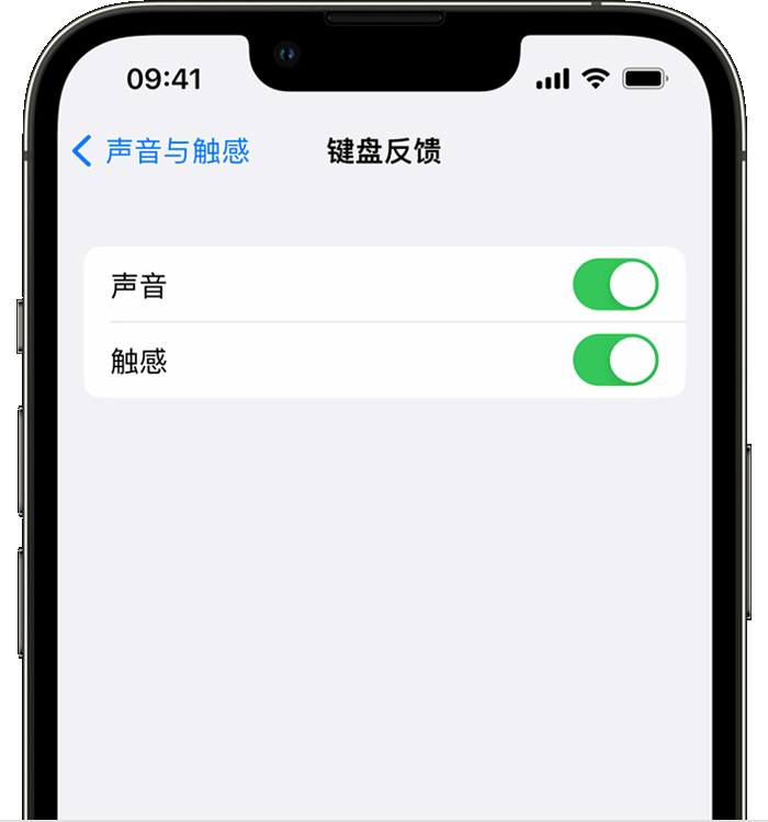 三门苹果14维修分享iPhone 14 系列机型如何开启键盘声音或触感反馈 