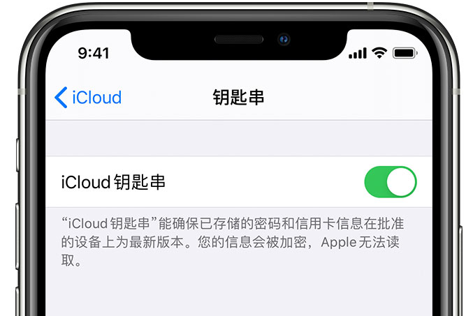 三门苹果手机维修分享在 iPhone 上开启 iCloud 钥匙串之后会储存哪些信息 