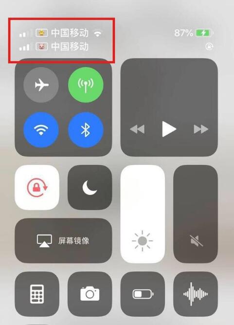 三门苹果手机维修分享为 iPhone 12 双卡设置标签 