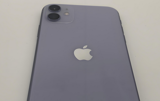 三门苹果11系统维修分享iPhone11手机系统崩溃无法开机如何解决 